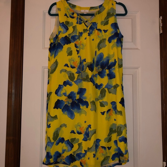 Charming Charlie Dresses & Skirts - Charming Charlie shift dress